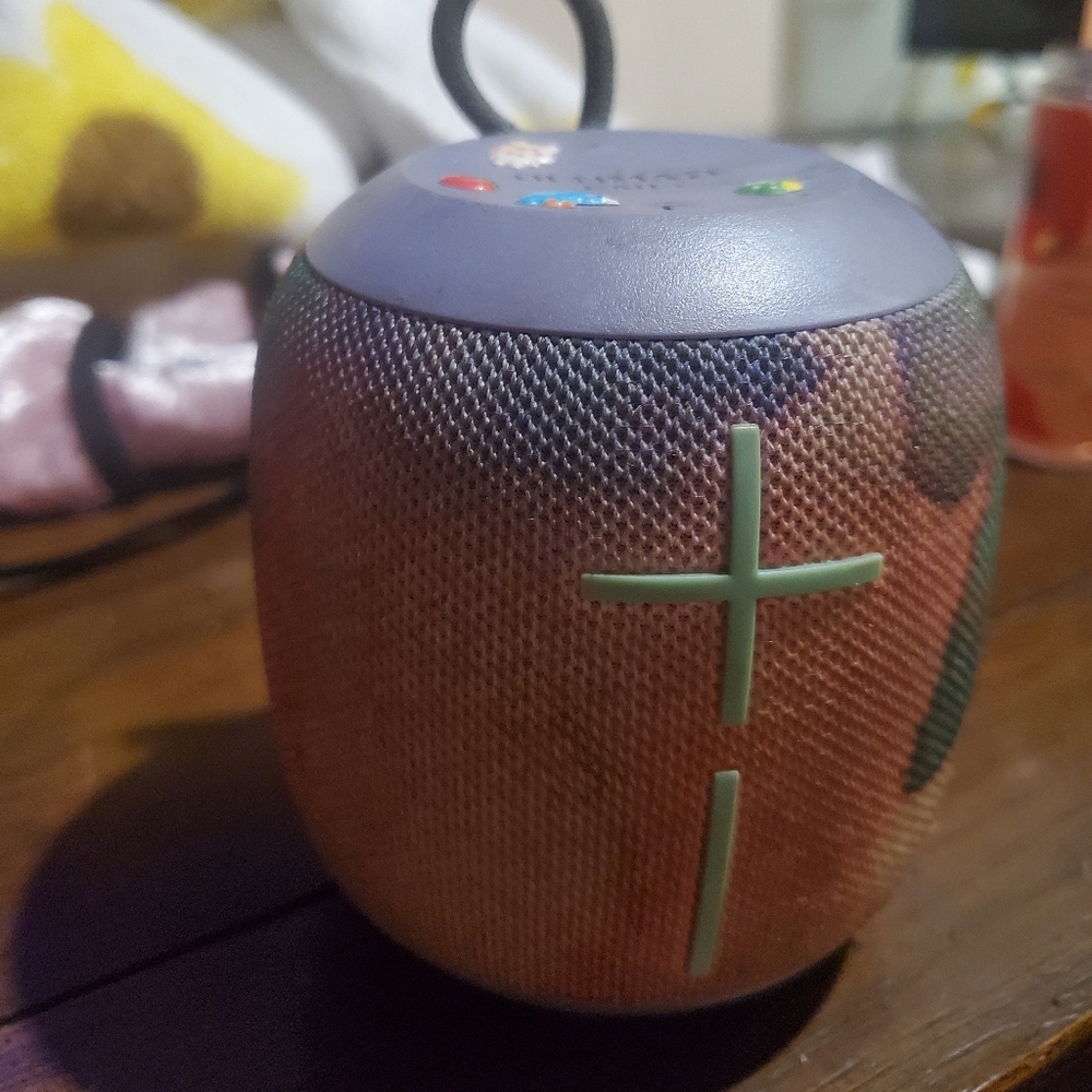 Customizes working speaker